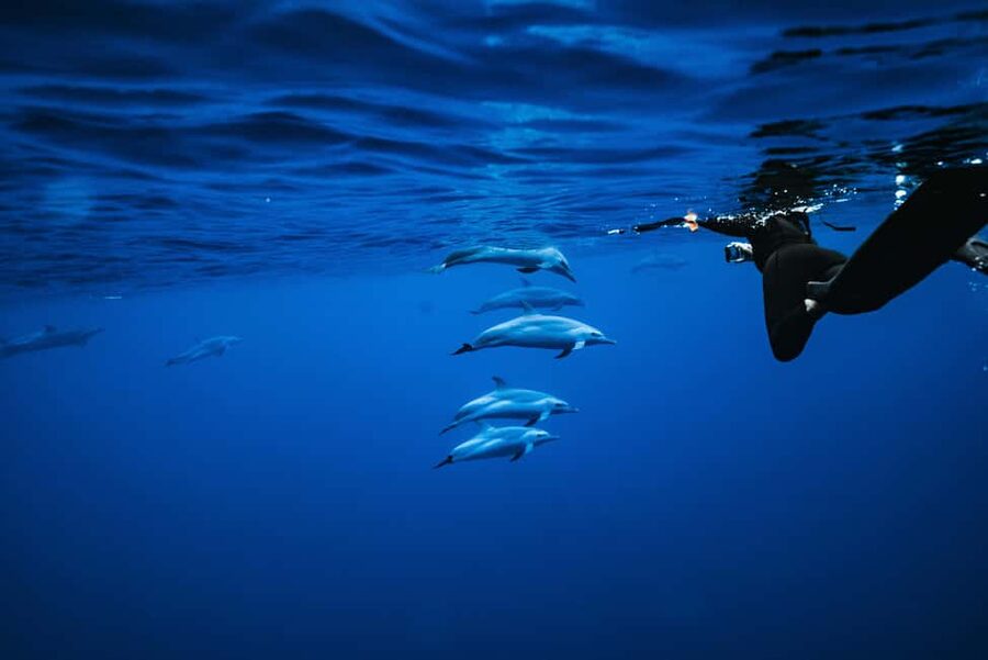 Swim with Wild Dolphins Oahu Speedboat Snorkeling Adventure! - The speedboat ride along Oahu’s west coast