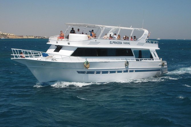 Swimming with Dolphin VIP Snorkeling Sea Trip With Lunch and Transfer - Hurghada - How to make the day better