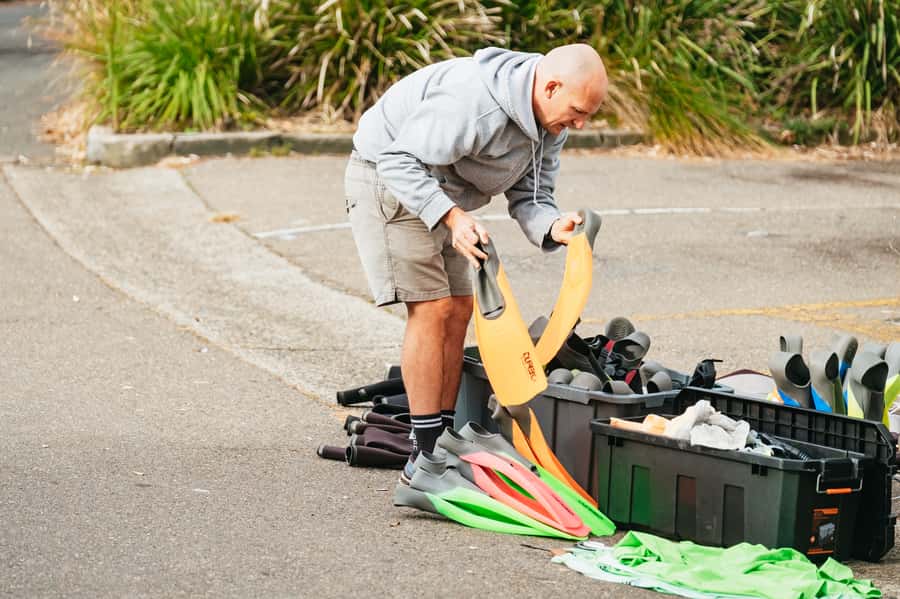 Sydney: Manly and Shelly Beach Snorkeling Tour - Why Shelly Beach works so well for a Sydney snorkeling trip