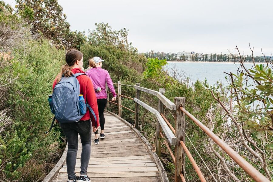 Sydney: Manly and Shelly Beach Snorkeling Tour - One hour among reefs, sea grass and fish