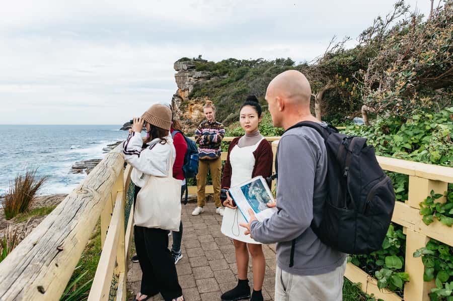 Sydney: Manly and Shelly Beach Snorkeling Tour - The guide matters more than the gear