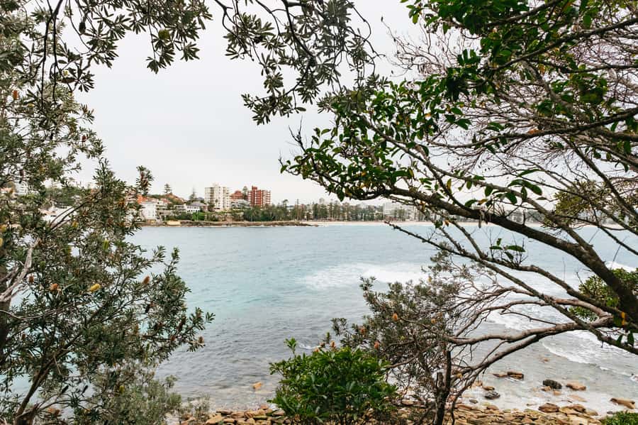 Sydney: Manly and Shelly Beach Snorkeling Tour - Is $77 good value?