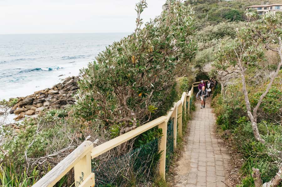 Sydney: Manly and Shelly Beach Snorkeling Tour - What to bring and how to plan your time