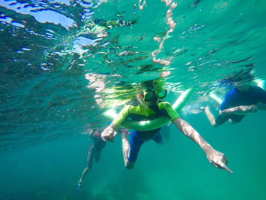 Sydney: Manly and Shelly Beach Snorkeling Tour - The 30-minute headland walk comes first