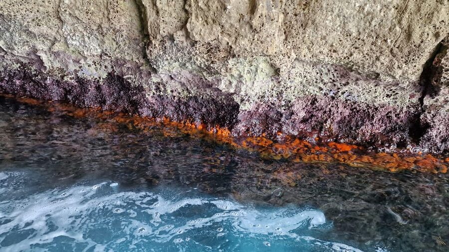 Syracuse:Snorkeling+Pillirina, Ortigia & sea caves boat tour - Timing, Comfort, and What to Bring