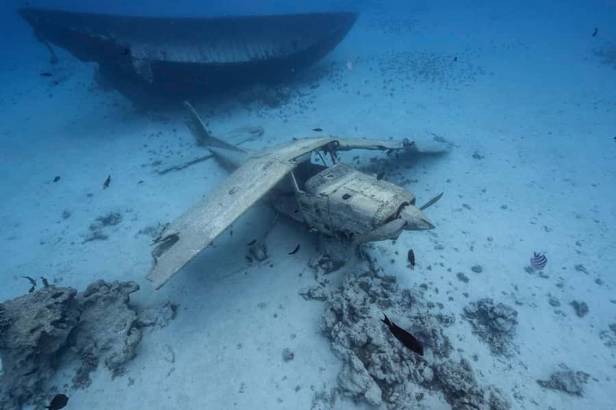 Tahiti island: 4 hours Snorkeling Tour - Starting the Morning or Afternoon on the Water