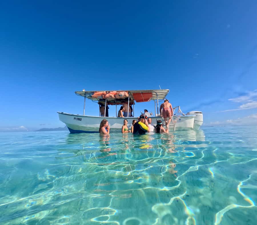 Tahiti island: 5 hours Snorkeling Picnic - A white sandbank with stingrays at your feet