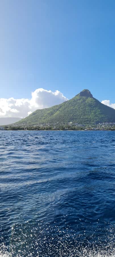 Tamarin: Dolphin Snorkel, CrystalRock, ile o Benitiers Lunch - How much value do you get for $77?