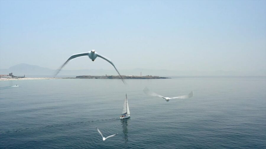 Tarifa: Sailboat Tour, Snorkelling, Tapas & Drinks - Safety, comfort, and the Tarifa wind