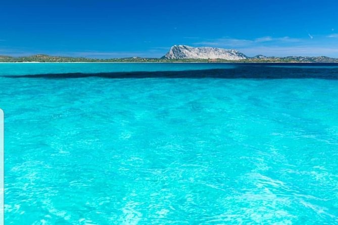 Tavolara Boat Tour and Snorkeling - Leaving Olbia for Capo Cesareo and Tavolara