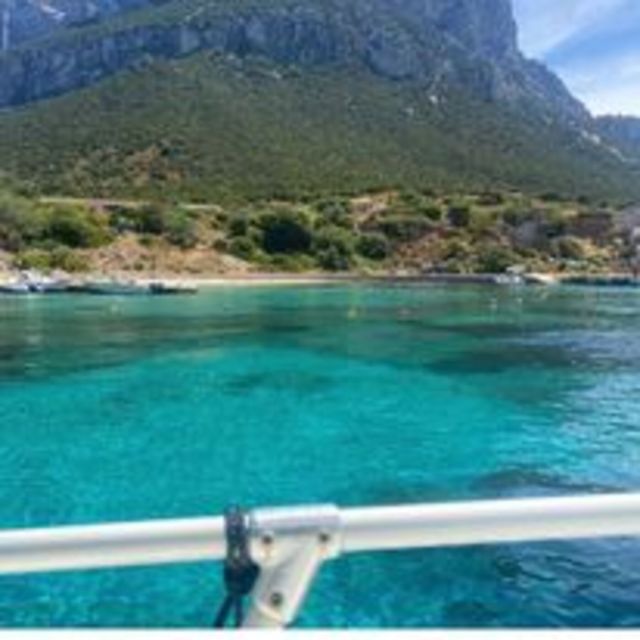 Tavolara, Snorkeling in the Marine Park - Three underwater settings around Tavolara