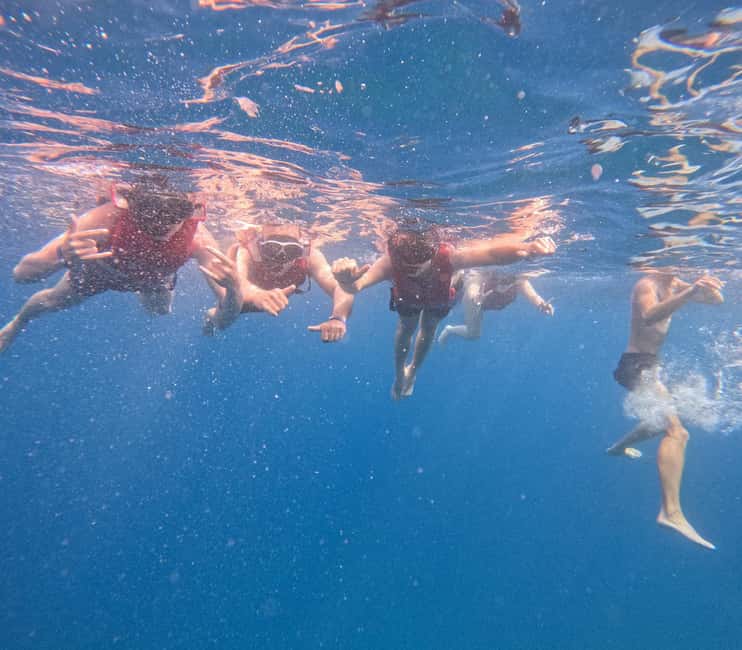 Tenerife: Eco Kayak & Snorkeling - Paddling through the protected marine reserve