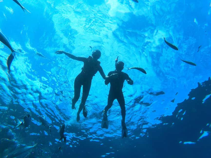 Tenerife: Eco Kayak & Snorkeling - The guides and language choices