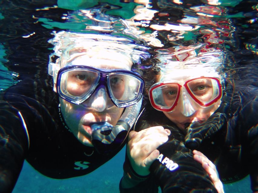 Tenerife Exclusive Snorkeling Trip with Marine Biologist - What beginners should know about snorkeling
