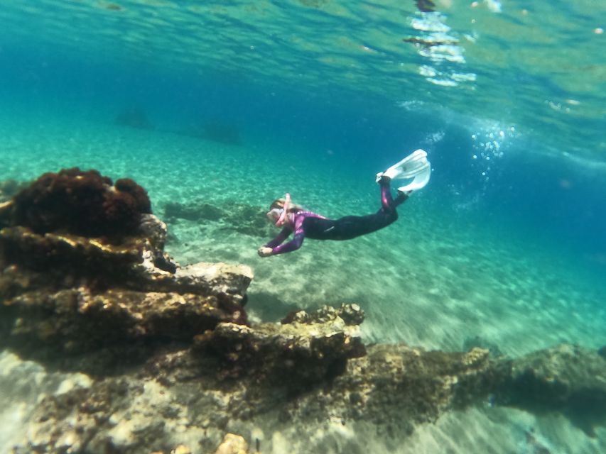 Tenerife: Half-Day Snorkeling Tour - Abades Bay offers an easy start in Tenerife