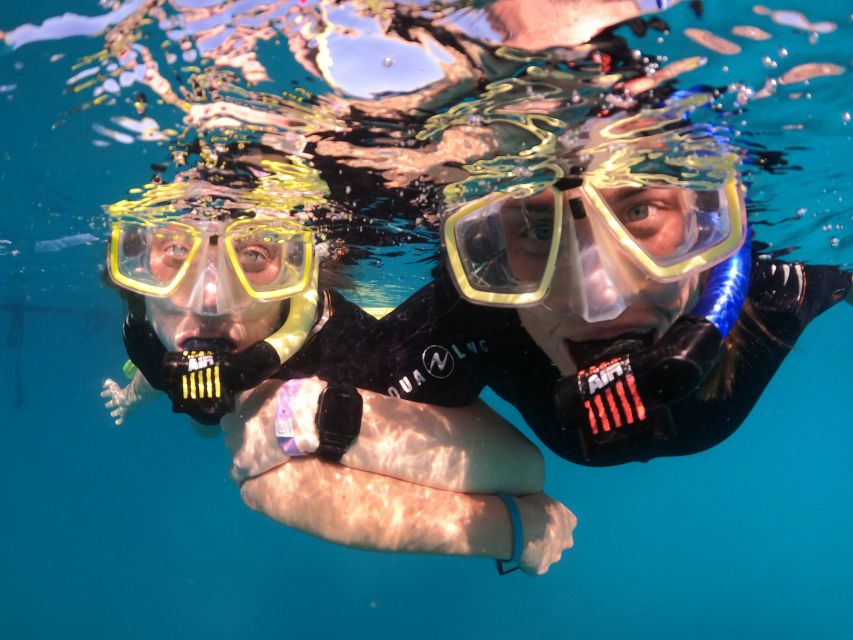 Tenerife: Half-Day Snorkeling Tour - How the tour compares with snorkeling alone