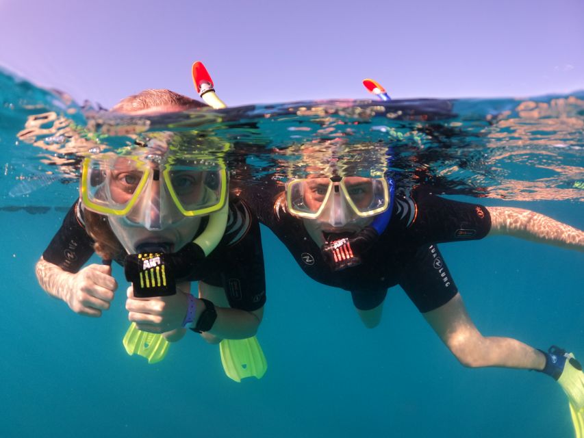 Tenerife: Half-Day Snorkeling Tour - What happens during the four-hour schedule