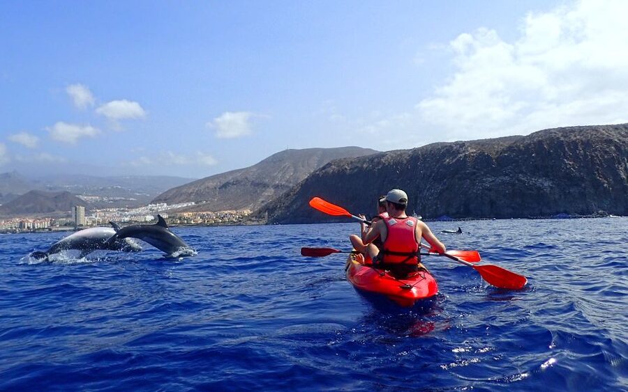 Tenerife: Kayak and Snorkel with Turtles, Wetsuits Included - Guides make the biggest difference