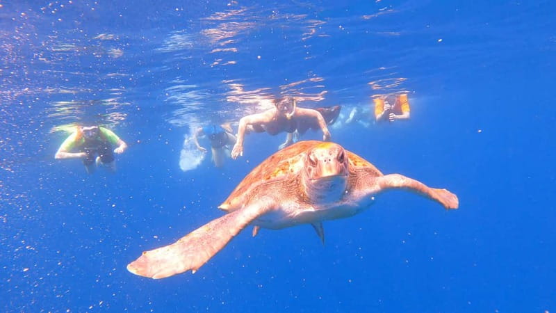 Tenerife: Kayak and Snorkeling Tour with Photos - Why this Los Cristianos kayak trip feels personal