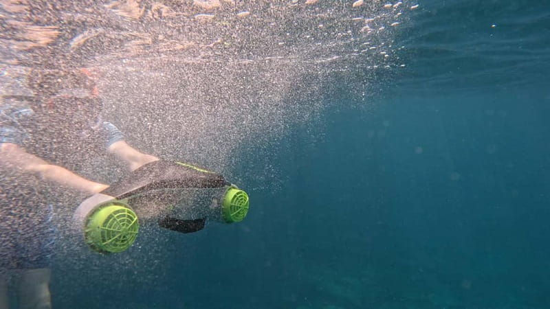 Tenerife: Kayak and Snorkeling Tour with Photos - Wildlife watching around Tenerife’s southern coast