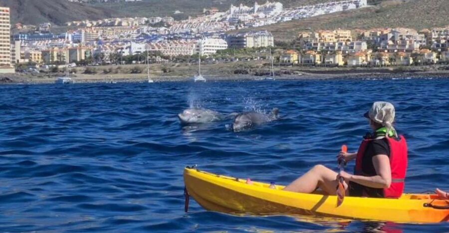 Tenerife: Kayak Safari and Snorkel in a Marine Reserve - The sea cave and the first real pause