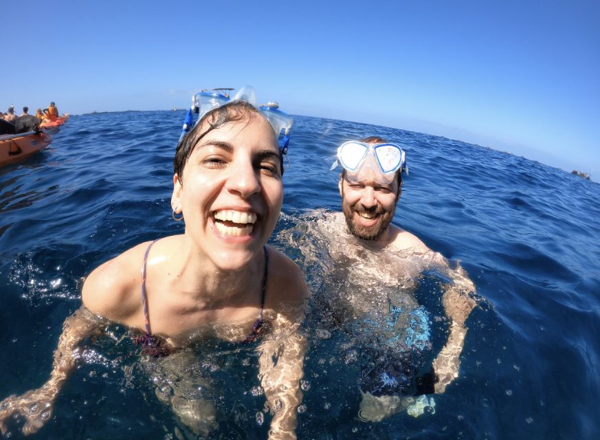 Tenerife: Kayak Safari and Snorkel in a Marine Reserve - The value of a $29 marine outing
