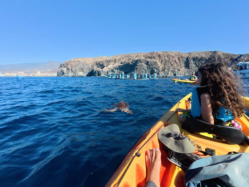 Tenerife: Kayak Sea Safari with Snorkel and Snacks - What to pack for a smoother morning