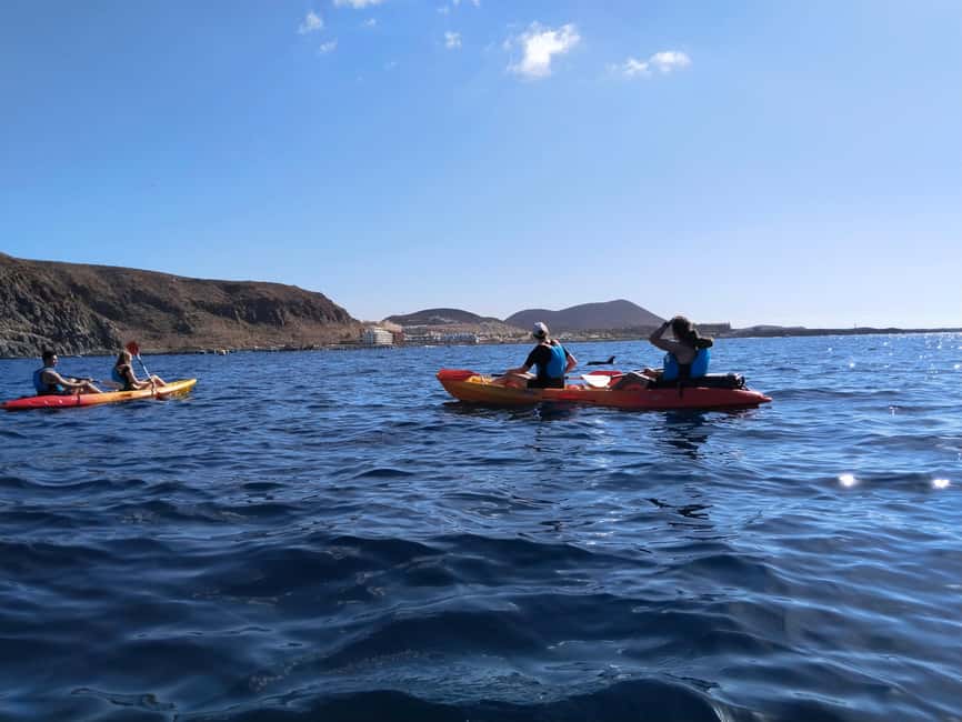 Tenerife: Kayak Sea Safari with Snorkel and Snacks - How the $41 price holds up