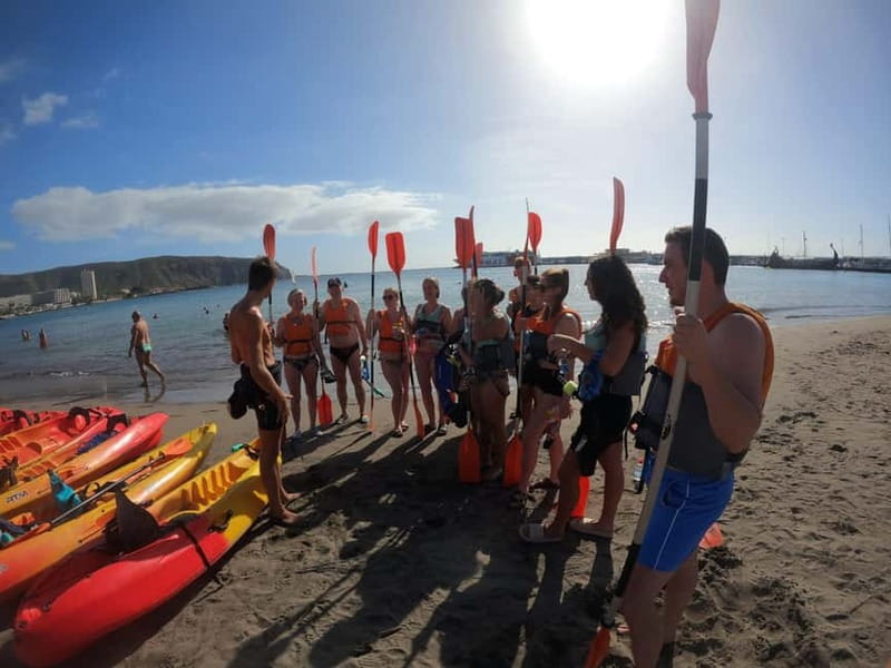 Tenerife: Kayak Sea Safari with Snorkel and Snacks - Who will enjoy this sea safari