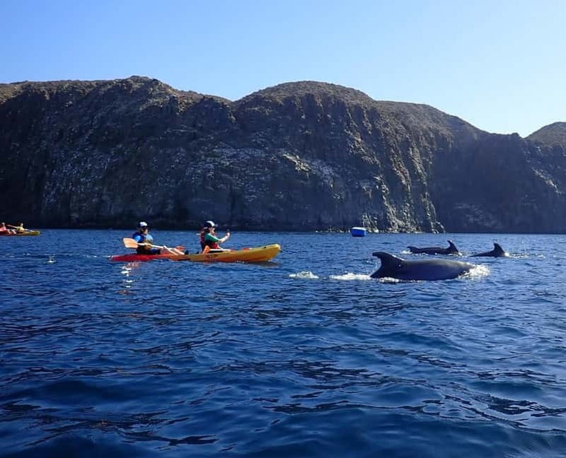 Tenerife: Kayak Sea Safari with Snorkel and Snacks - The cliff route and the search for marine life
