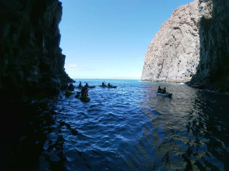 Tenerife: Kayak & Snorkel with Local Fauna, Photos Included - Paddling beneath Tenerife’s black cliffs