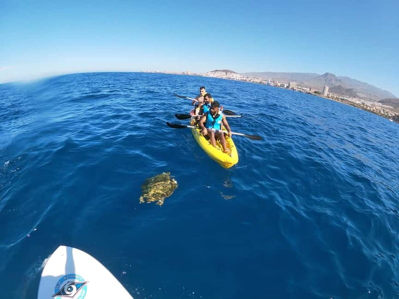 Tenerife: Kayak & Snorkel with Local Fauna, Photos Included - Snorkeling near the sea cave