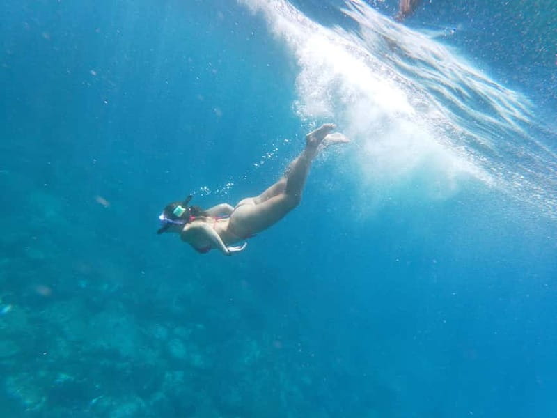 Tenerife: Kayak & Snorkel with Local Fauna, Photos Included - Wildlife watching without chasing animals