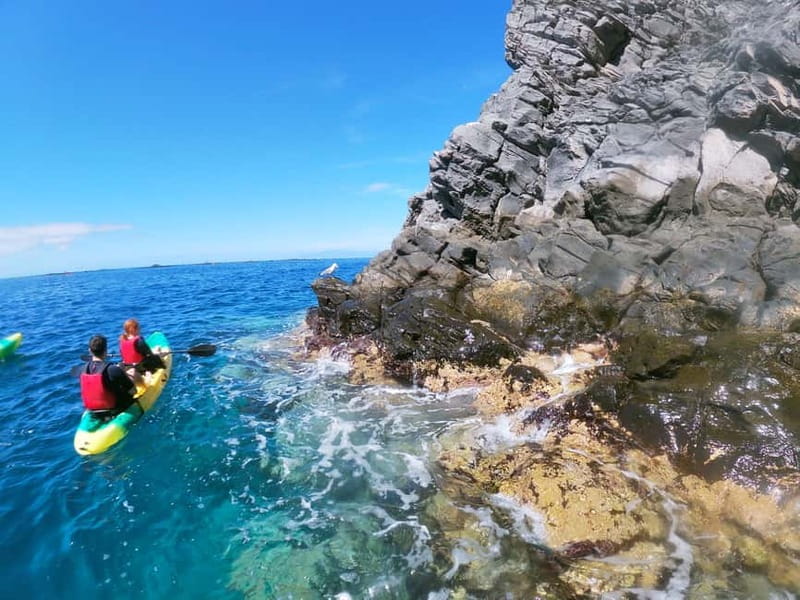 Tenerife: Kayak & Snorkel with Local Fauna, Photos Included - The second paddle and return to shore