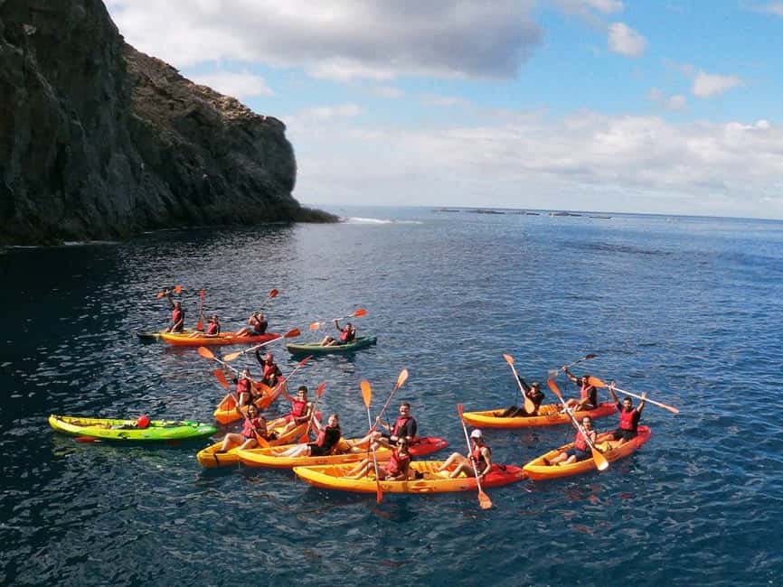 Tenerife: Kayak & Snorkeling, Marine Fauna Watching - Who will enjoy this most