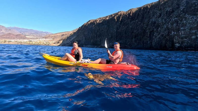 Tenerife: Kayak & Snorkeling Tour - Small Groups - Why this Los Cristianos outing is worth considering