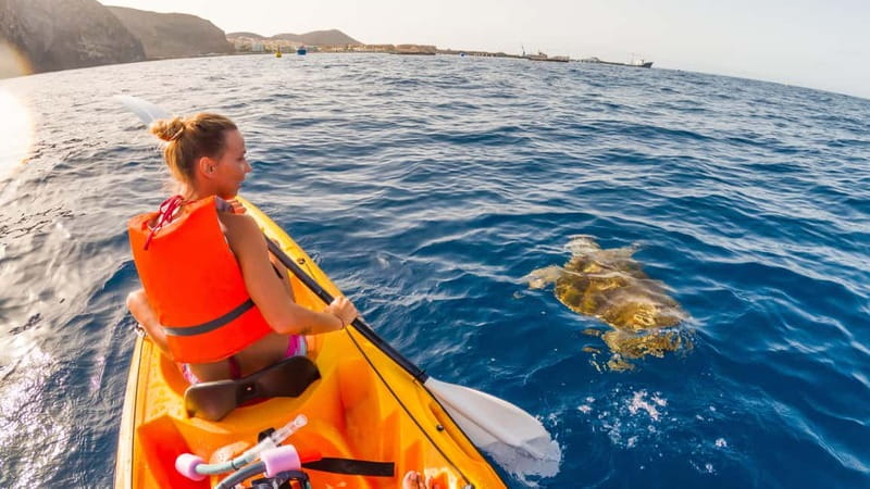 Tenerife: Kayak & Snorkeling Tour - Small Groups - The 30-minute Atlantic snorkeling stop