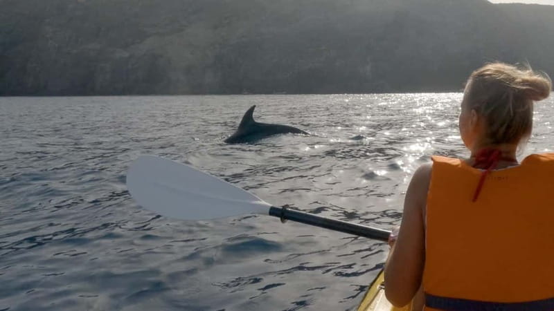 Tenerife: Kayak & Snorkeling Tour - Small Groups - Who should book this tour