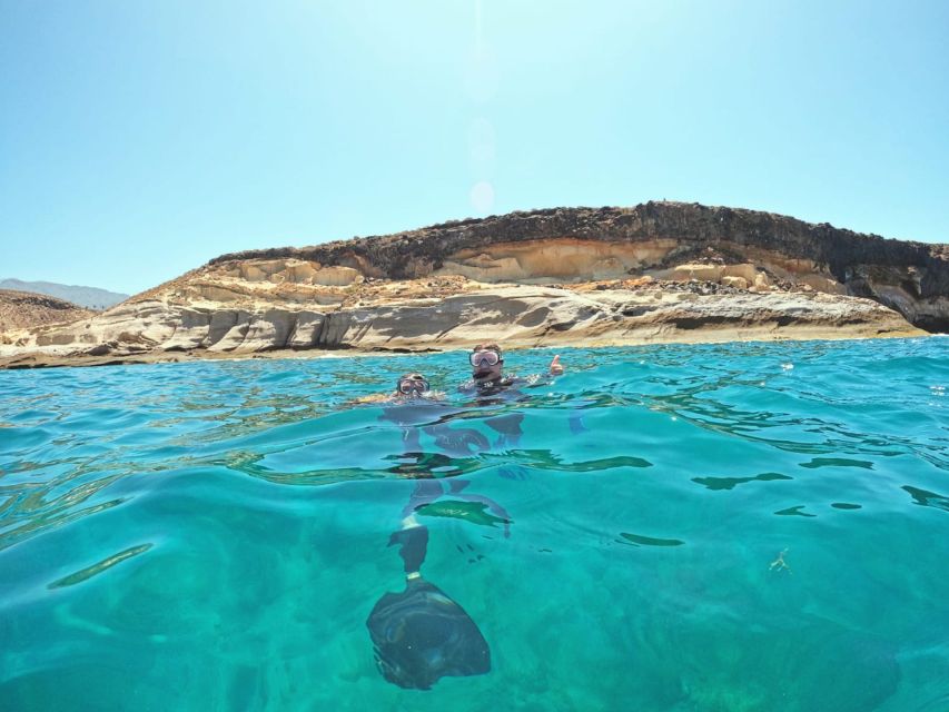 Tenerife: Puerto Colon Snorkel Safari by Speed Boat - A sheltered bay, not an all-day reef trip