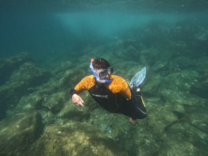 Tenerife: Puerto Colon Snorkel Safari by Speed Boat - What the 30-minute briefing adds