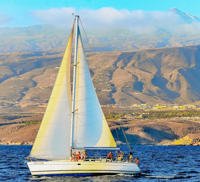 Tenerife: Sailboat Tour Whale Watching Food and Snorkeling - A swim and snorkeling stop in warm water