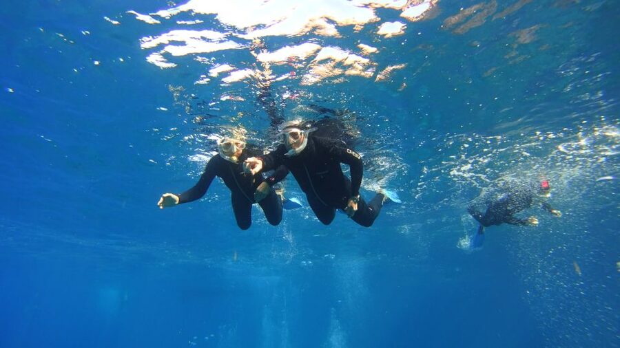 Tenerife: Snorkel with Turtles - Should you book this turtle snorkeling trip?