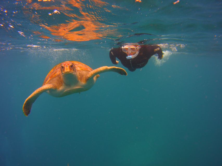 Tenerife: Snorkel with Turtles - Leaving Las Galletas for Malpais de Rasca