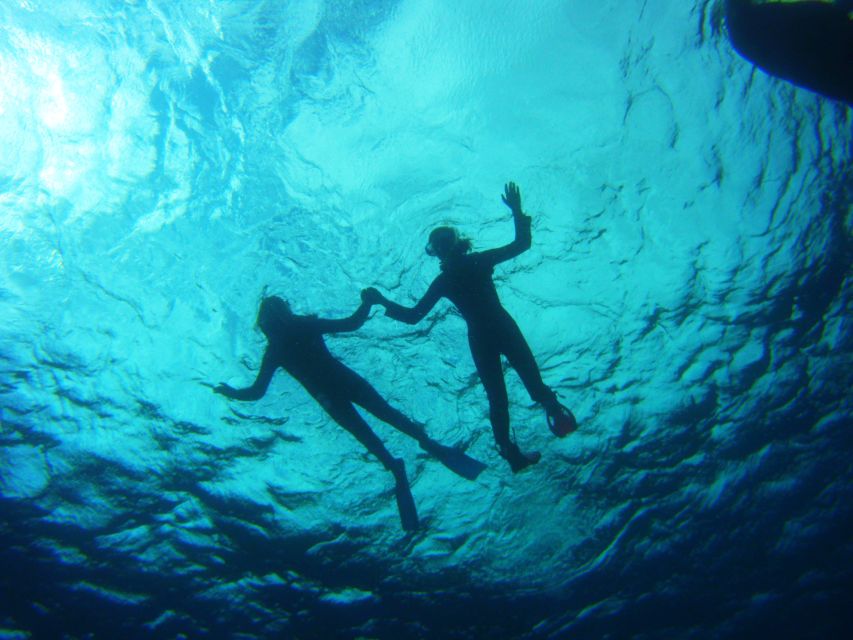 Tenerife: Snorkel with Turtles - Equipment, warmth, and comfort in the water
