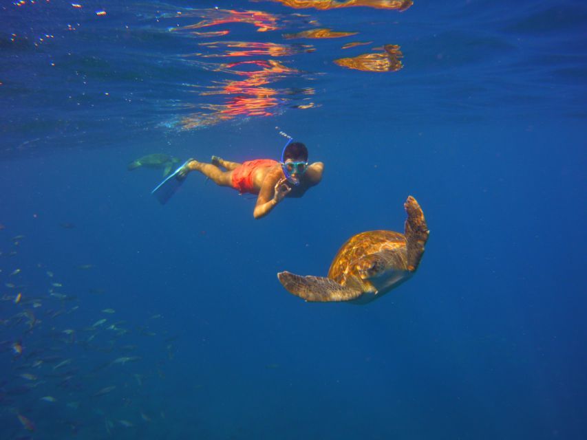 Tenerife: Snorkel with Turtles - Photos are a useful extra, not the main prize