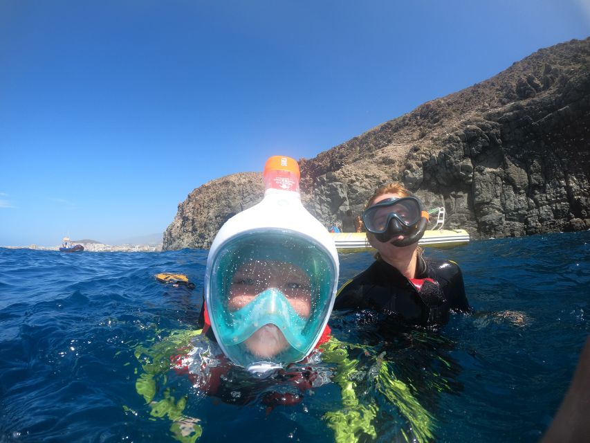 Tenerife Snorkeling boat trip in a Turtle Habitat - What this Puerto Colón trip is really like