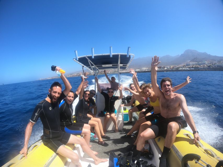 Tenerife Snorkeling boat trip in a Turtle Habitat - Why beginners often do well here