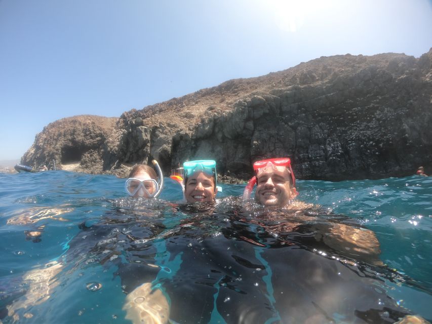 Tenerife Snorkeling boat trip in a Turtle Habitat - What the marine life can and cannot promise