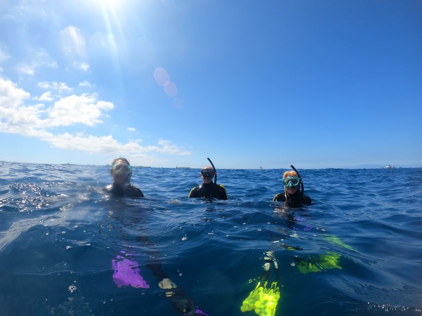 Tenerife Snorkeling boat trip in a Turtle Habitat - The guides make a practical difference