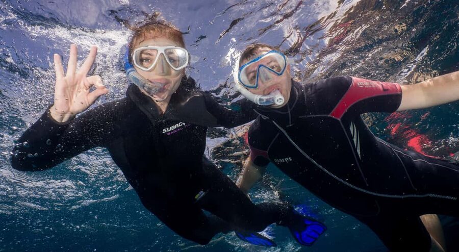 Tenerife: Snorkeling to look for Turtles and Rays - From Playa de las Americas to the Palm Mar bay
